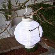 Led lampion Jerrit 20 cm, wit