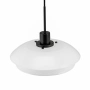 Dyberg Larsen DL31 hanglamp glazen kap zwart