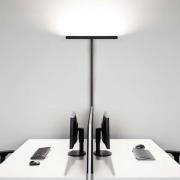 Molto Luce Concept Double F sensor wit