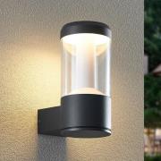 Arcchio Dakari LED buitenwandlamp, smart