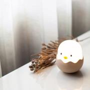 LED-nachtlamp Eggy EGG met accu