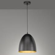 Hanglamp Mylon, zwart/goud, half ovaal