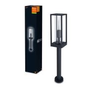 Ledvance Endura Classic Frame tuinlamp, 60 cm