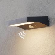 LED buitenwandlamp Maresia met sensor