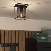 Plafondlamp Catterick, zwart, een kooikap