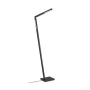 LED vloerlamp Carla 2, 2-lamps, zwart