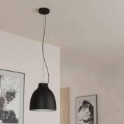 EGLO Camasca hanglamp, 1-lamp, zwart