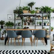 Hanglamp Plant met legbord, zwart