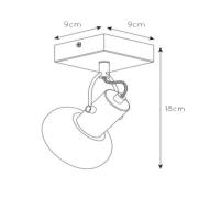 Plafondspot Madee zwart/rook, 1-lamp