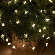 LED lichtketting Trill, 40 lampjes, groene kabel