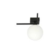 Plafondlamp Imago 1G, 1-lamp, zwart/opaal