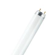 OSRAM fluorescentielamp LUMILUX, G13 T8, 120 cm 2.700 K 36 W