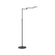 LED vloerlamp Caro, 1-lamp, zwart