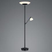 LED vloerlamp Findus, 2-lamps, zwart