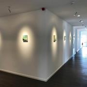 EGG DLS LED spot Zooom XL, opbouwbehuizing, 3.000K chroom