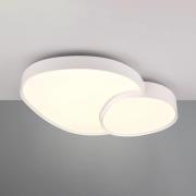 LED plafondlamp Rise, wit, 77 x 63 cm, CCT, dimbaar