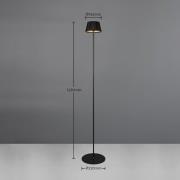 LED vloerlamp Suarez, zwart, hoogte 123 cm, metaal