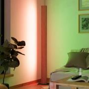 LED vloerlamp Anchorena-Z, hoogte 150 cm, RGB, CCT