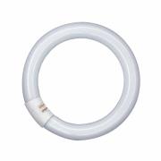 G10q 22W 840 Lumilux T9C TL-ring