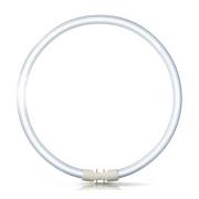 2GX13 60W 840 Ringvormige tl-lamp Master TL5