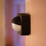 Philips Hue Outdoor sensor bewegingsmelder