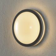 EGLO connect Locana-C LED buiten wandlamp zilver
