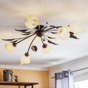 Miranda plafondlamp 6-lamps, ovaal, brons