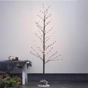 LED decoratieve boom Tobby Tree IP44 bruin hoogte 150cm