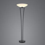 BANKAMP Lady LED uplighter vloerlamp, ZigBee, zwart