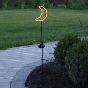 LED solarlamp Linny Moon met aardspies