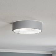 Plafondlamp Cleo 300, IP54, Ø 30 cm grijs