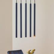 Hanglamp Thin, zwart, 5-lamps, lineair