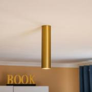 Plafondspot Eye, hoogte 25 cm, messing