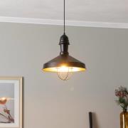 Hanglamp AV-4106-M25-BSY met kooi-kap