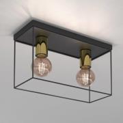 Plafondlamp Anna met metalen frames, 2-lamps