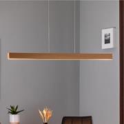 LED hanglamp Broll, goud