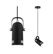 Paulmann Neordic Lavea planten-hanglamp, zwart