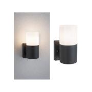 Paulmann Tubs buitenwandlamp, dimbaar