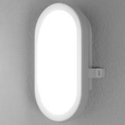 LEDVANCE Bulkhead LED buitenwandlamp 11W in Wit