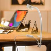 Lindby klemlamp Jyla, wit, 2.700 K, GX53