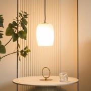 Lucande Taylan hanglamp 1-lamp glazen kap