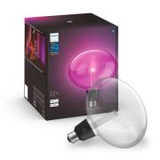 Philips Hue Lichtgids Ellipse E27 6,5W 500lm