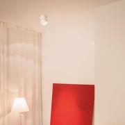 EGG DLS LED plafondspot Clippo, dimbaar, wit/goud