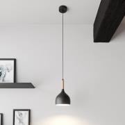 Noak hanglamp, 1-lamp, naturel/zwart hout