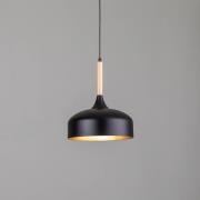 Hanglamp Taylor, zwart