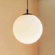 Hanglamp 562, mat glas, kap/baldakijn zwart