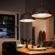 Philips Classic LED lamp E27 G120 7W 2.700K opaal