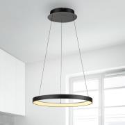 Paul Neuhaus LED hanglamp Hoop, zwart, Ø 57 cm. IJzer