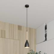 Muza hanglamp, 1-lamp, zwart/licht hout