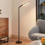 Lindby Romila LED vloerlamp in zwart